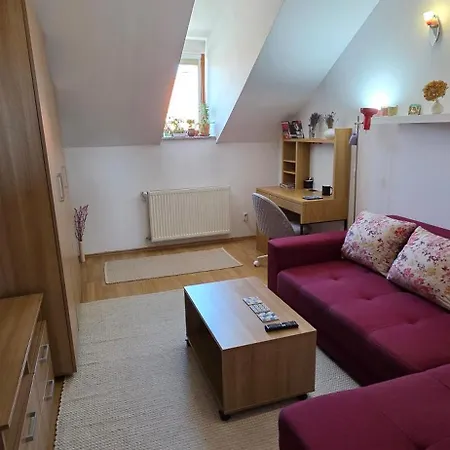 Apartmán Mansarda Gheorgheni Kluž