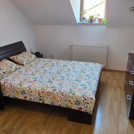 Mansarda Gheorgheni Apartmán *